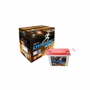 Dynamic Power EV Battery