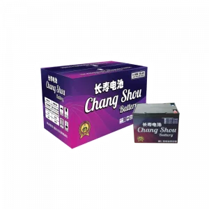 Chang Shou ER Battery