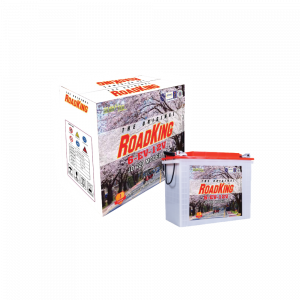 Road King EV Battery