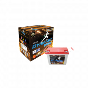 Dynamic Power EV Battery