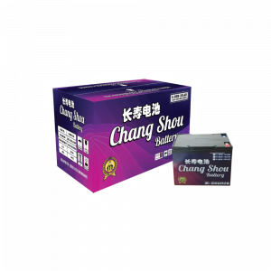 Chang Shou ER Battery